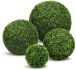 Boxwood Ball (18 Inch - Green)