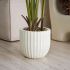 Travelers Palm (Beige Fiberglass Planter - 72 In)