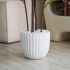 Fiddle Leaf Tree (White Fiberglass Planter - 72 In)
