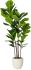 Fiddle Leaf Tree (Beige Fiberglass Planter - 72 In)