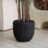 Madagascar Palm (Black Fiberglass Planter - 72 In)