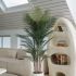 Madagascar Palm (Beige Fiberglass Planter - 72 In)