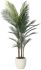 Madagascar Palm (Beige Fiberglass Planter - 72 In)