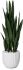 White Fiberglass Planter - 47 In
