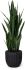 Black Fiberglass Planter - 47 In