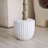 Olive Tree (White Fiberglass Planter - 47 In)