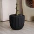 Olive Tree (Black Fiberglass Planter - 47 In)