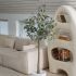 Eucalyptus Tree (White Fiberglass Planter - 69 In)