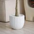 Eucalyptus Tree (White Fiberglass Planter - 69 In)