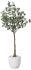Eucalyptus Tree (White Fiberglass Planter - 69 In)