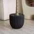 Eucalyptus Tree (Black Fiberglass Planter - 69 In)