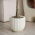 Eucalyptus Tree (Beige Fiberglass Planter - 69 In)