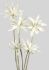 Succulent Flower Artificial Flower (43 x 12 x 12 - White)