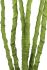 Agave Flower Artificial Flower (71 x 20 x 20 - Green)