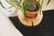Bio Martini Tables (Set of 2)