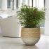 Veranda Nature Mixed Grass and Concrete Pot