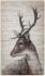 White Tail Deer Peinture à L'Huile Originale Peinte à La Main (I)