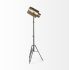 Debdou Cinema-Style Floor Lamp (Gold Metal Adjustable)