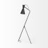 Eris Floor Lamp (III - Black & Brass Metal Cone Shade)