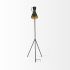 Eris Floor Lamp (III - Black & Brass Metal Cone Shade)