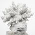 Isla (Large - White Replica Resin Coral On Clear White Glass)