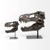 Lagrane Tyrannosaurus T Rex Dinosaur Skull Replica