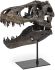 Jurassic (Brown Resin Tyrannosaurus Skull Replica)