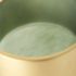 Minty Vase (Medium - Green Glass with Matte Gold Metal Neck Cuff)
