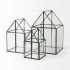 Sikes Boxes (Medium - Glass Terrarium)