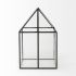 Sikes Boxes (Large - Glass Terrarium)
