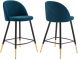 Cordial Counter Stools (Set of 2 - Azure Fabric)