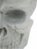 Braincase Skull Statue (White)