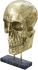 Braincase Skull Statue (Gold)