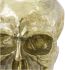 Braincase Skull Statue (Gold)