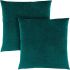 SD928 Pillow (Set of 2 - Emerald)