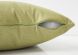 Esamont Pillow (Patterned Lime Green)