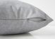 Oraver Pillow (Light Grey Feathered Velvet)