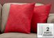 Oraver Pillow (Set of 2 - Red Feathered Velvet)