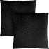 Talo Pillow (Set of 2 - Black Floral Velvet)