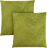 Oraver Pillow (Set of 2 - Lime Green Feathered Velvet)