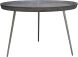Josephine Coffee Table (Grey with Silver Base)