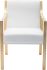 Valentine Dining Chair (White with Gold Frame)