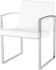 Clara Dining Chair (White with Silver Frame)