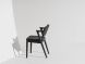 Kalli Dining Chair (Black with Onyx Frame)