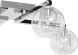 Estelle 4 Ceiling Lamp (Clear with Silver Body)