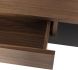 Noori Desk Table (Walnut with Titanium Leg)