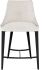 Renee Counter Stool (Shell with Titanium Frame)