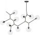 Atom 10 Pendant Light (Clear with Black Fixture)