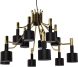 Black with Gold Fixture