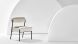 Marni Dining Chair (Buttermilk with Oyster Velour Seat)